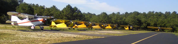 Aerial Sign North banner planes fleet